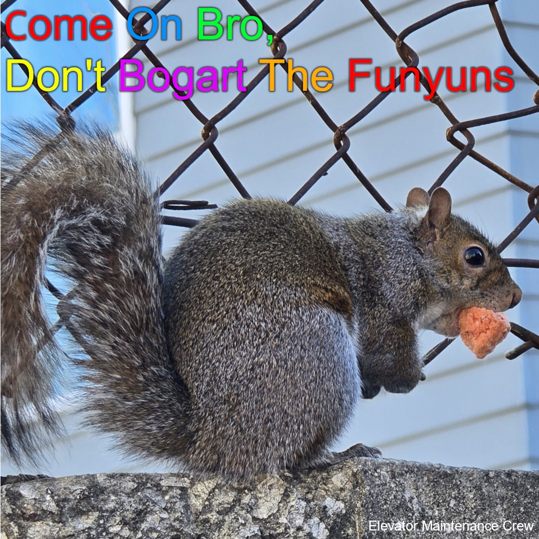 A fake album cover for 'Come On Bro, Don't Bogart The Funyuns' by Elevator Maintenance Crew, featuring a squirrel perched on a wall with a wire fence behind it, and a Cheeto gripped in its jaws