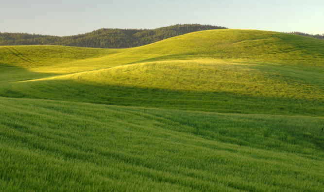 A picture of a tiny hill.