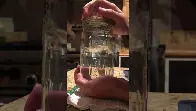 Boiling water with Ice