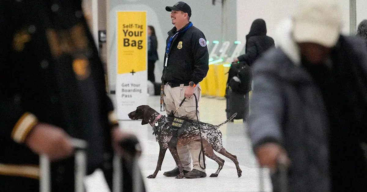 Elon Reportedly Orders Government to Stop Feeding the Bomb-Sniffing Dogs