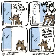the shower