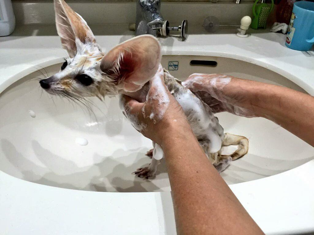 Stimky boy bathtime