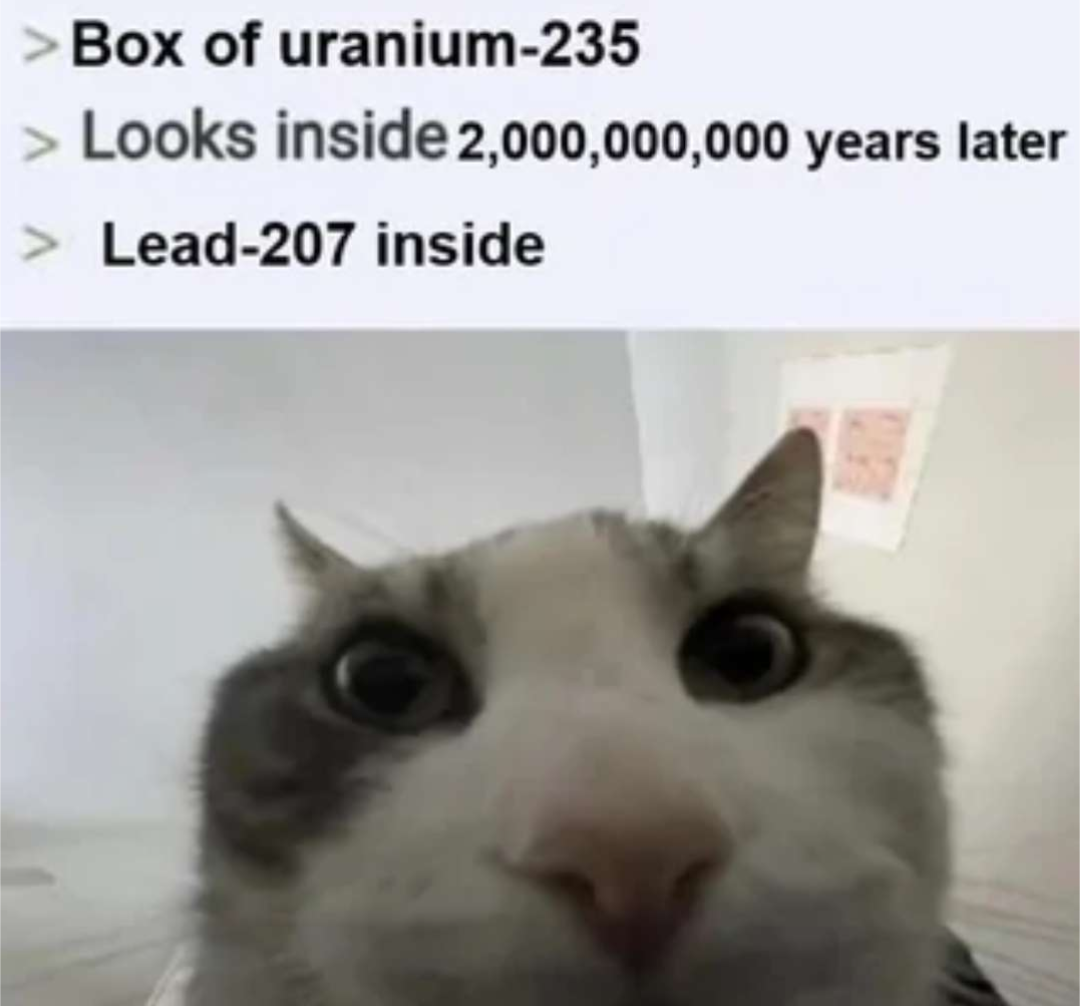 A picture of a cat looking at the camera with the caption: box of uranium 235. Looks inside 2,000,000,000 years later. Lead 207 inside.