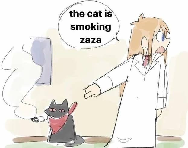 this cat is smoking zaza