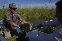 In long-sought change, states must consider tribal rights when crafting water rules • Oklahoma Voice