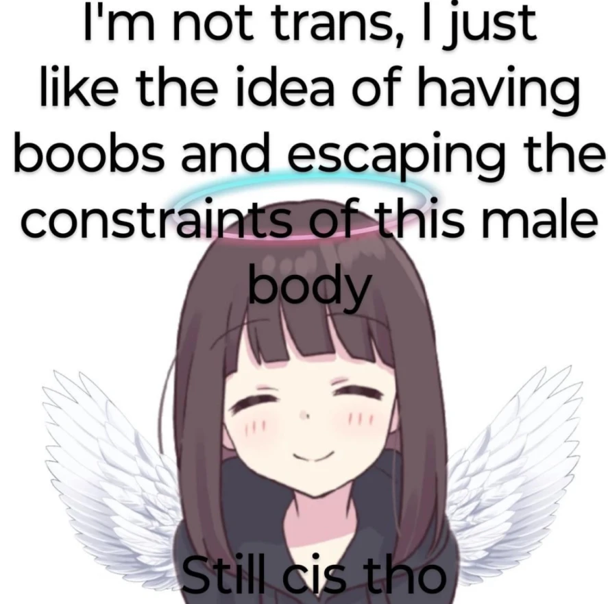 "I'm not trans, I just like the idea of having boobs and escaping the constraints of this male body" followed by a picture of a smiling girl with a halo and wings, and the bottom text "Still cis tho"