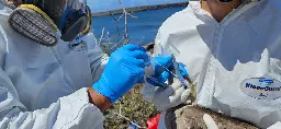Galapagos National Park reports the deaths of three birds from avian flu - Galapagos Conservation Trust