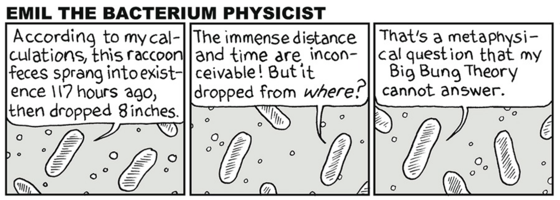 Title: Emil the Bacterium Physicist. Panel one: According to my calculations, this racoon feces spring into existence 117 hours ago, and then dropped 8 inches. Panel 2: The immense distance and time are inconceivable! But it dropped from where? Panel 3: That's a metaphysical question that my Big Bung Theory cannot answer.