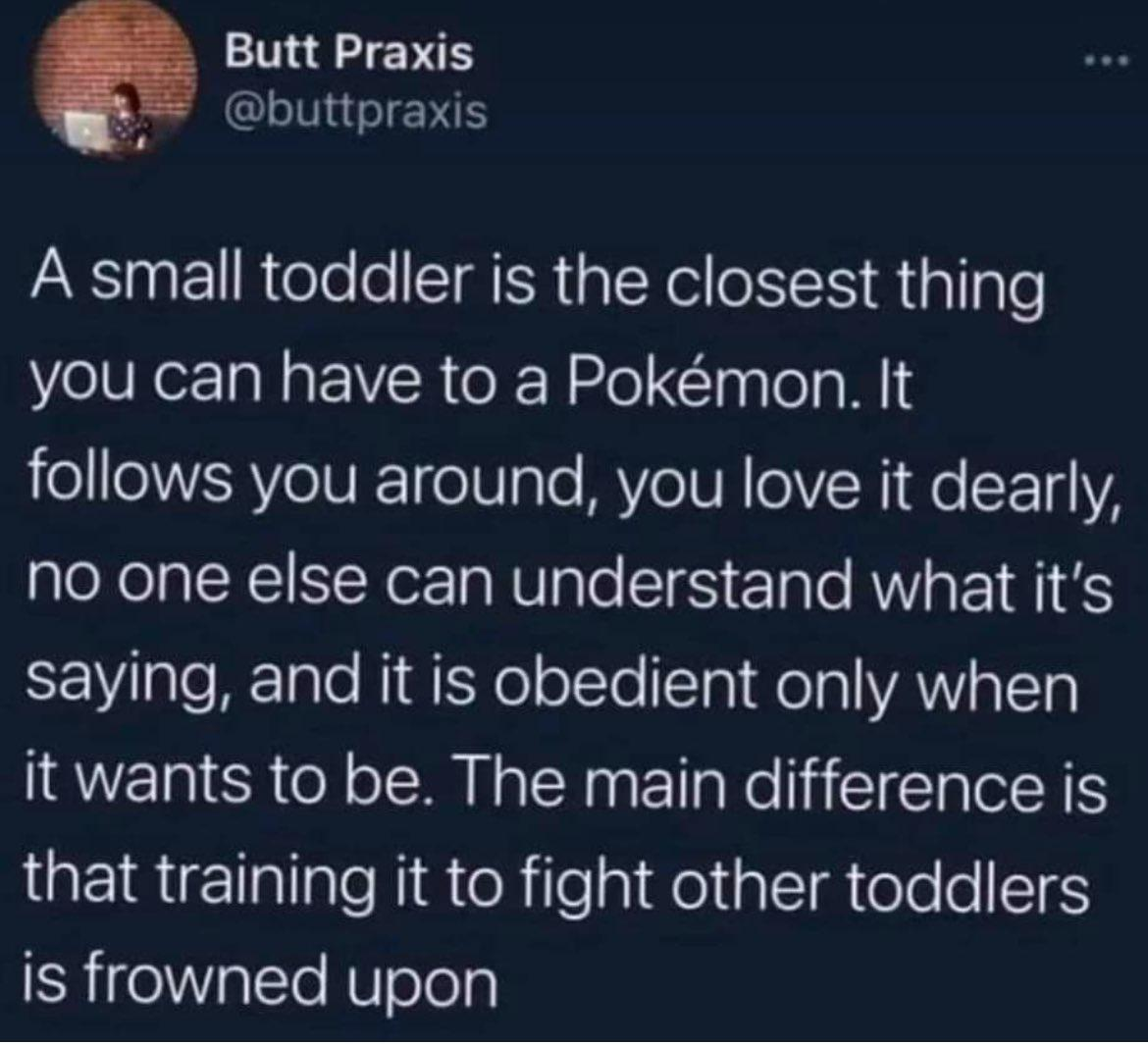 Tweet by @buttpraxis:
"A small toddler is the closest thing you can have to a Pokemon. It follows you around, you love it dearly, no one else can understand what it's saying, and it is obedient only when it wants to be. The main difference is that training it to fight other toddlers is frowned upon.