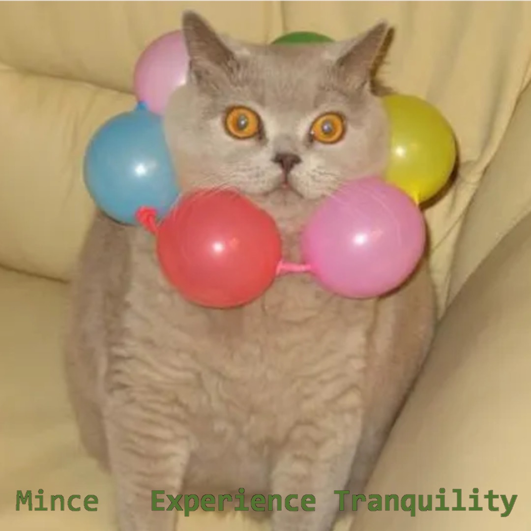 A fake album cover of 'Experience Tranquility' by Mince featuring a light grey cat with orange eyes sitting on a couch (zoomed in), with a circular toy made of segments stuck around his neck.