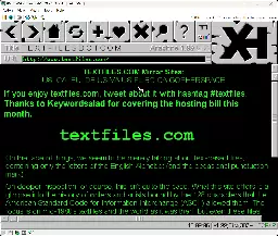Browsing the web with MS-DOS