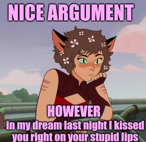 “nice argument however in my dream I kissed you in your stupid lips”