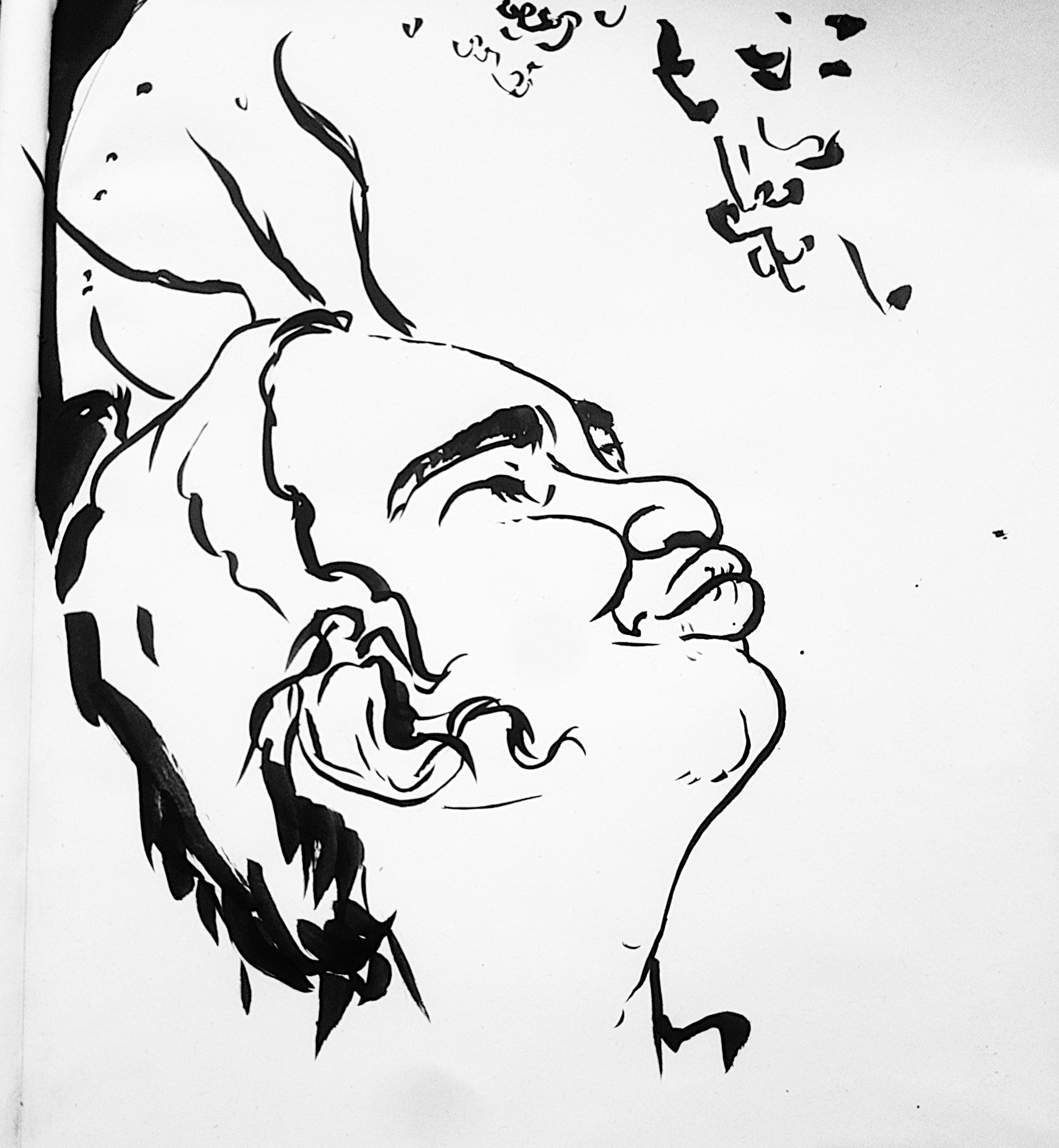 Trying india ink with a brush pen