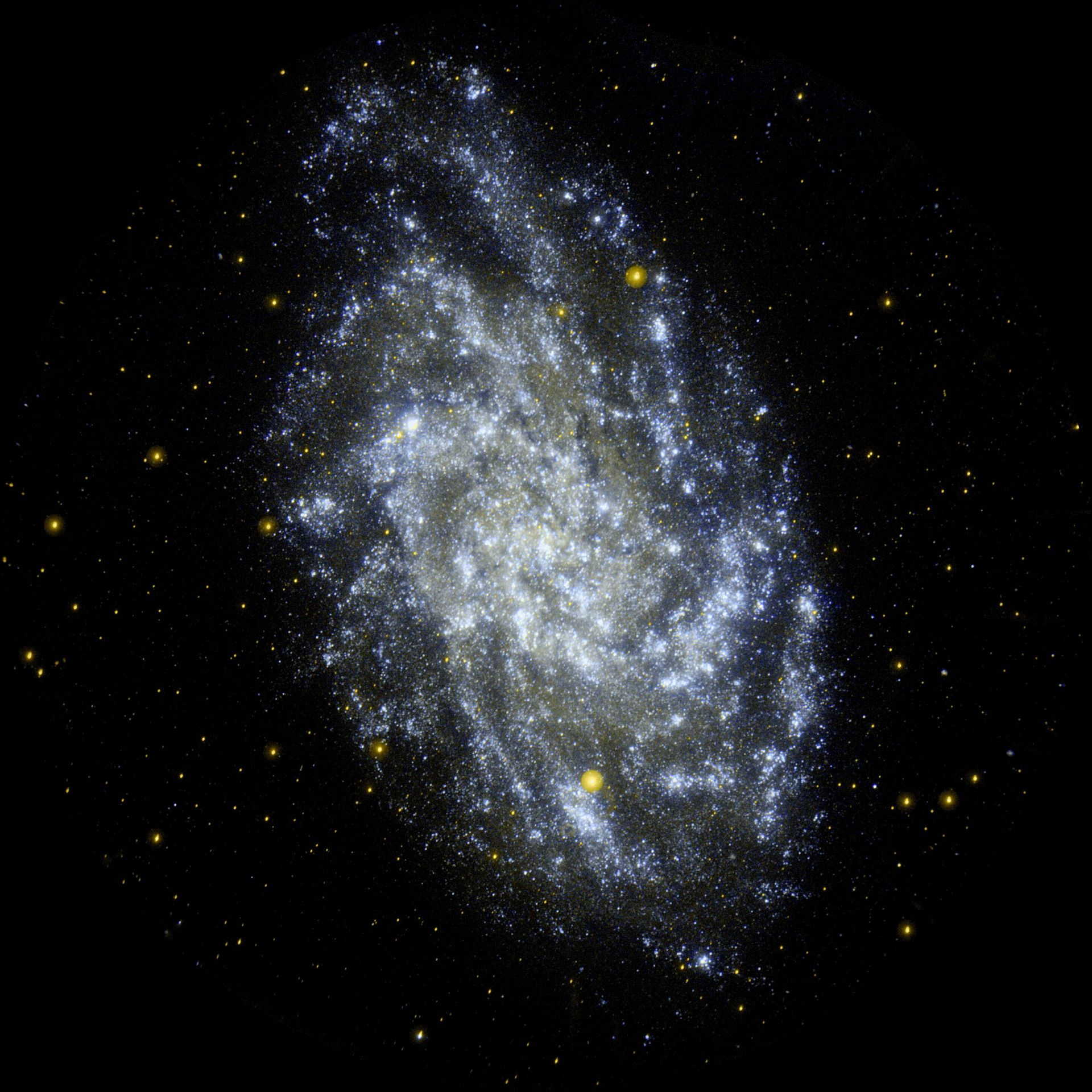 m33@lemmy.sdf.org